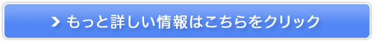 ybishukuiтキjz̔TCg
